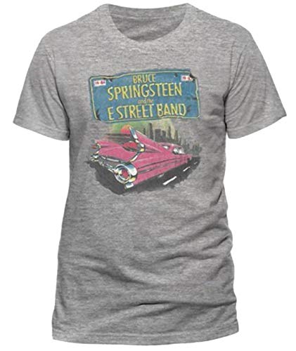 Bruce Springsteen Pink Cadillac E Street Band T-Shirt
